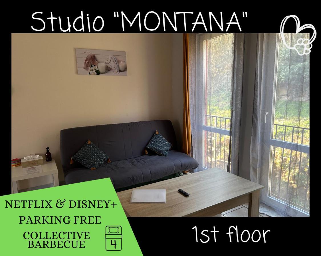 L'Arizona Dinant - Studio Montana - Barbecue, Free Parking, Dog Ok Dış mekan fotoğraf